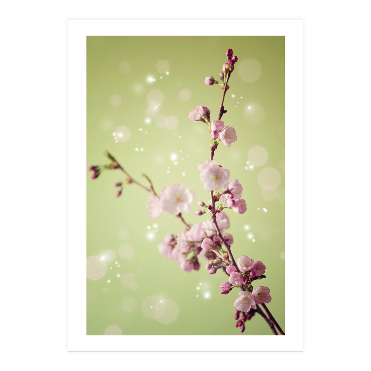 Springtime  (Print Only)