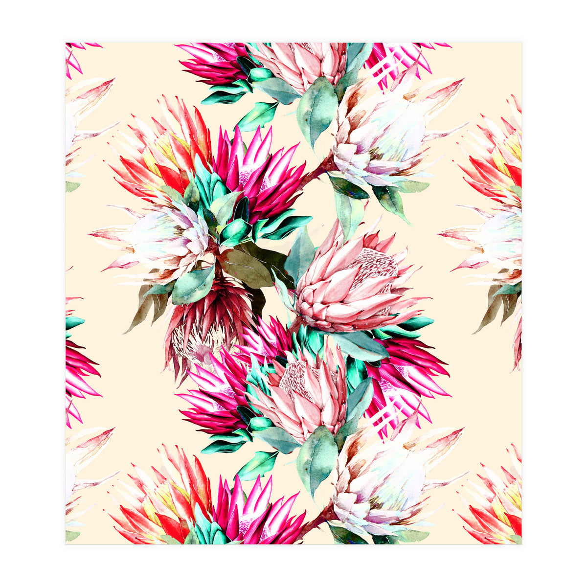 King proteas bloom II (Print Only)