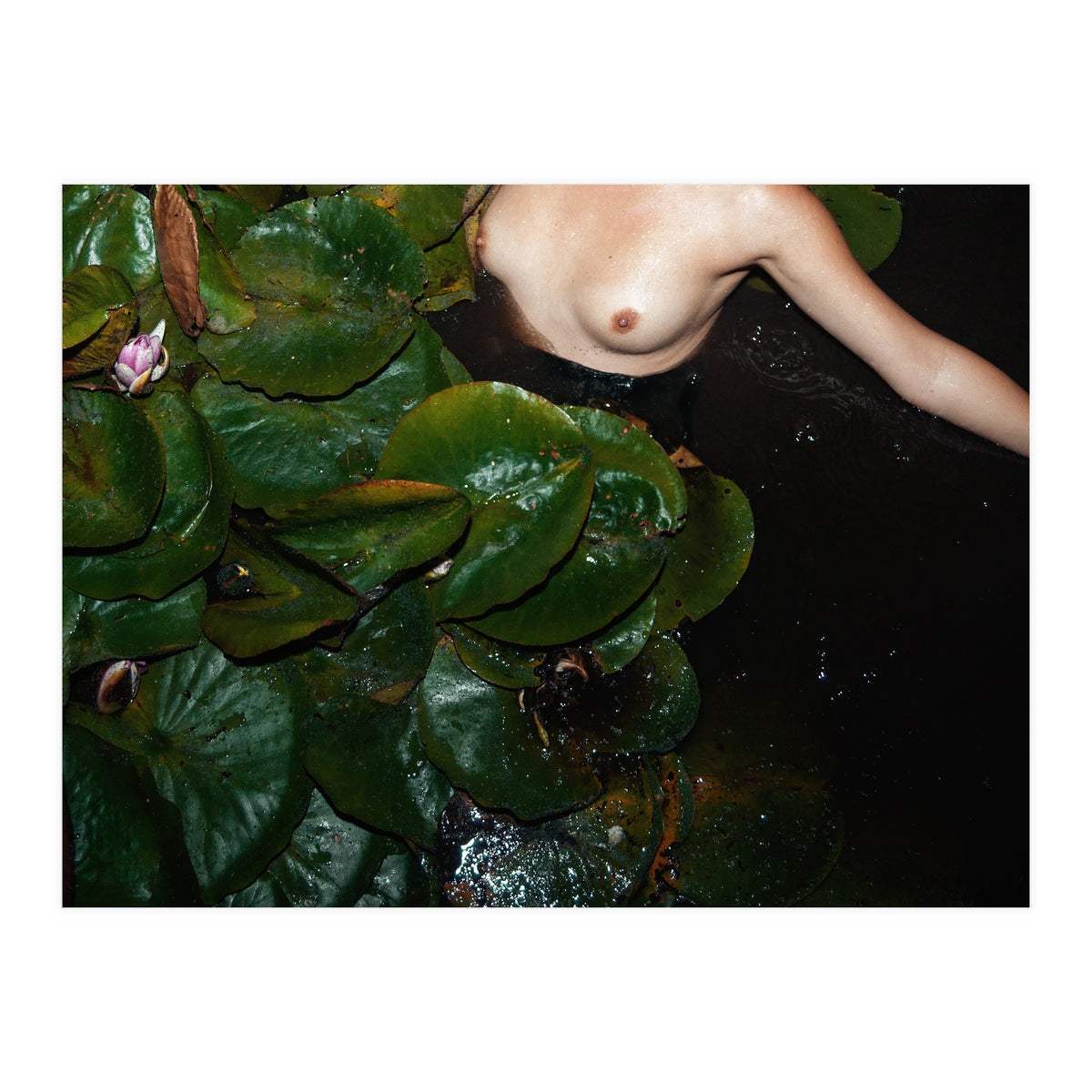 This is Not what You think It is (Print Only)