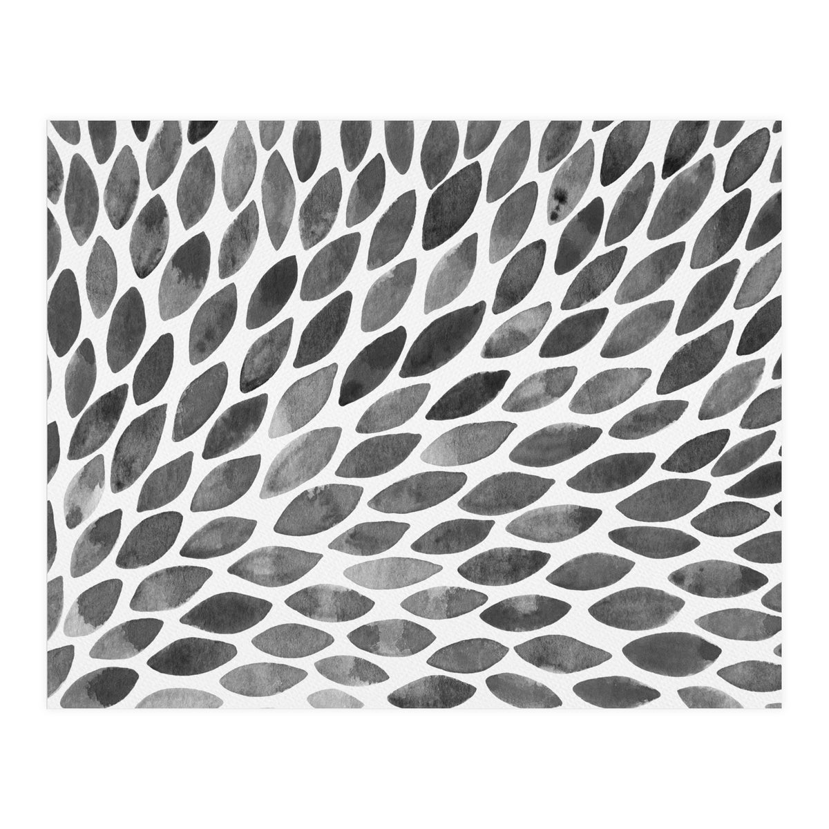 Black and white petal burst (Print Only)