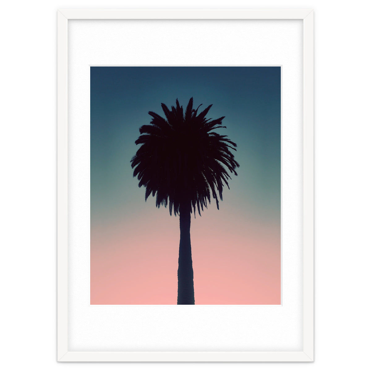 Sundown Palm