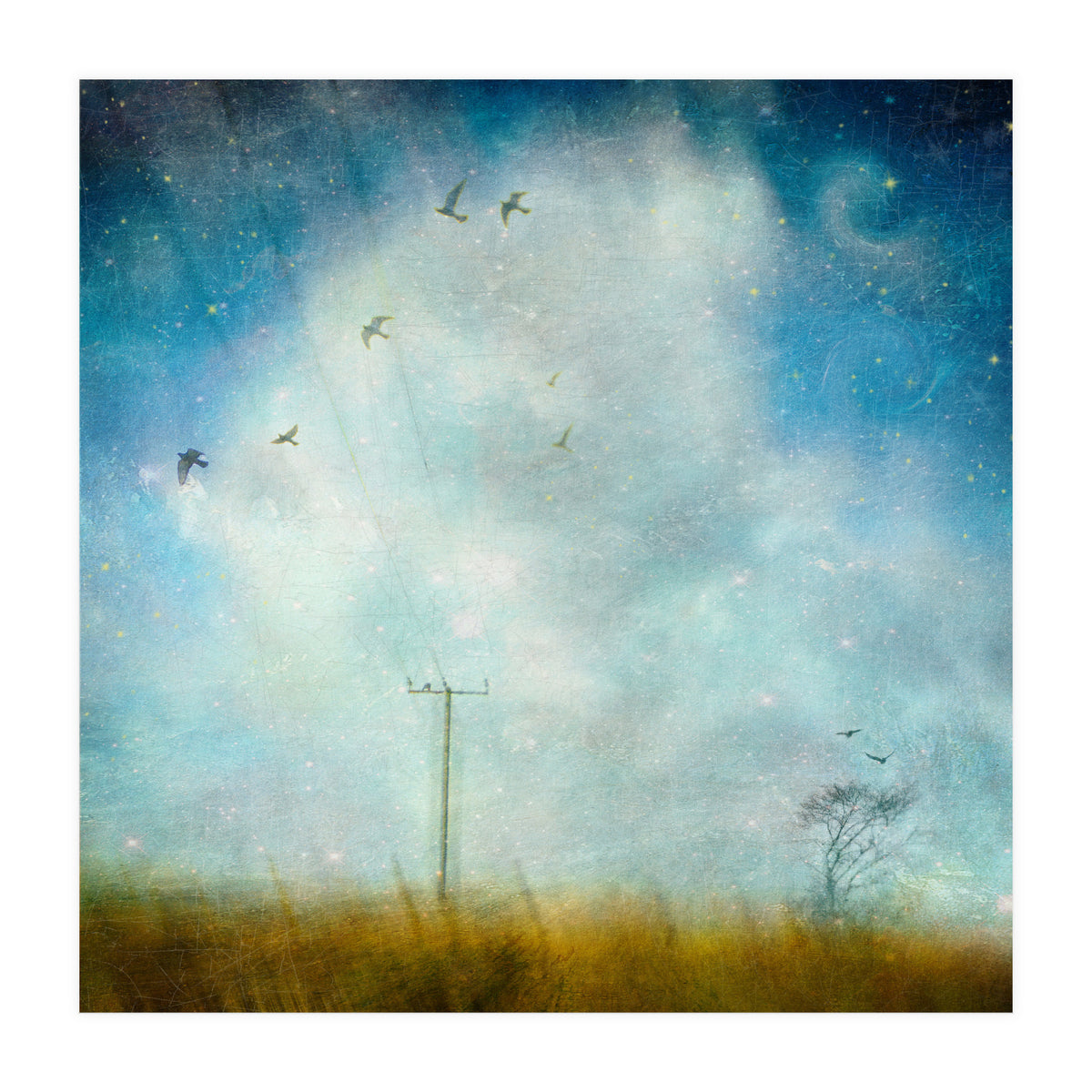 Silence, Shattered (Print Only)