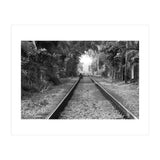 Colombo, Sri Lanka (Print Only) thumbnail