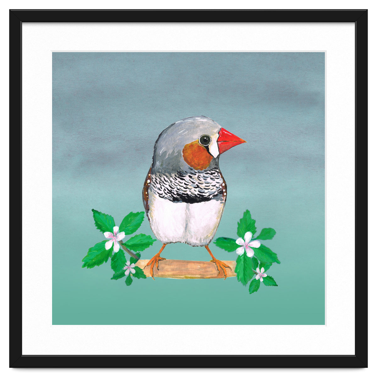 Zebra finch