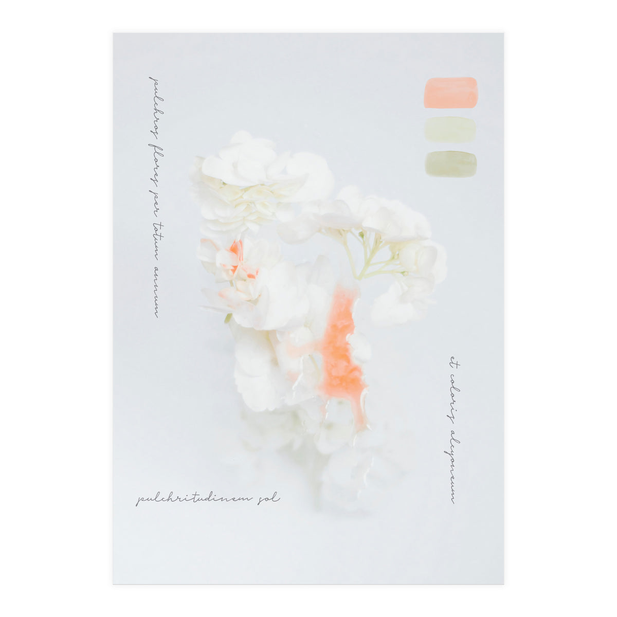 Modern Vintage Botanic (Print Only)