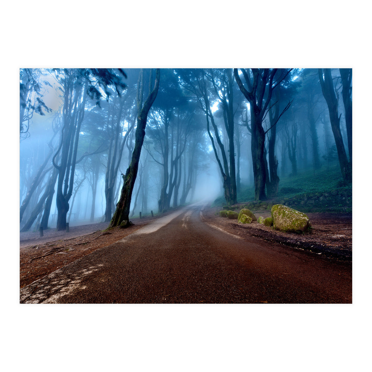 The Road Of Kings (Print Only)