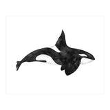 Orca (Print Only) thumbnail