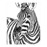 Zebra (Print Only) thumbnail
