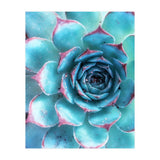 68a (Print Only) thumbnail