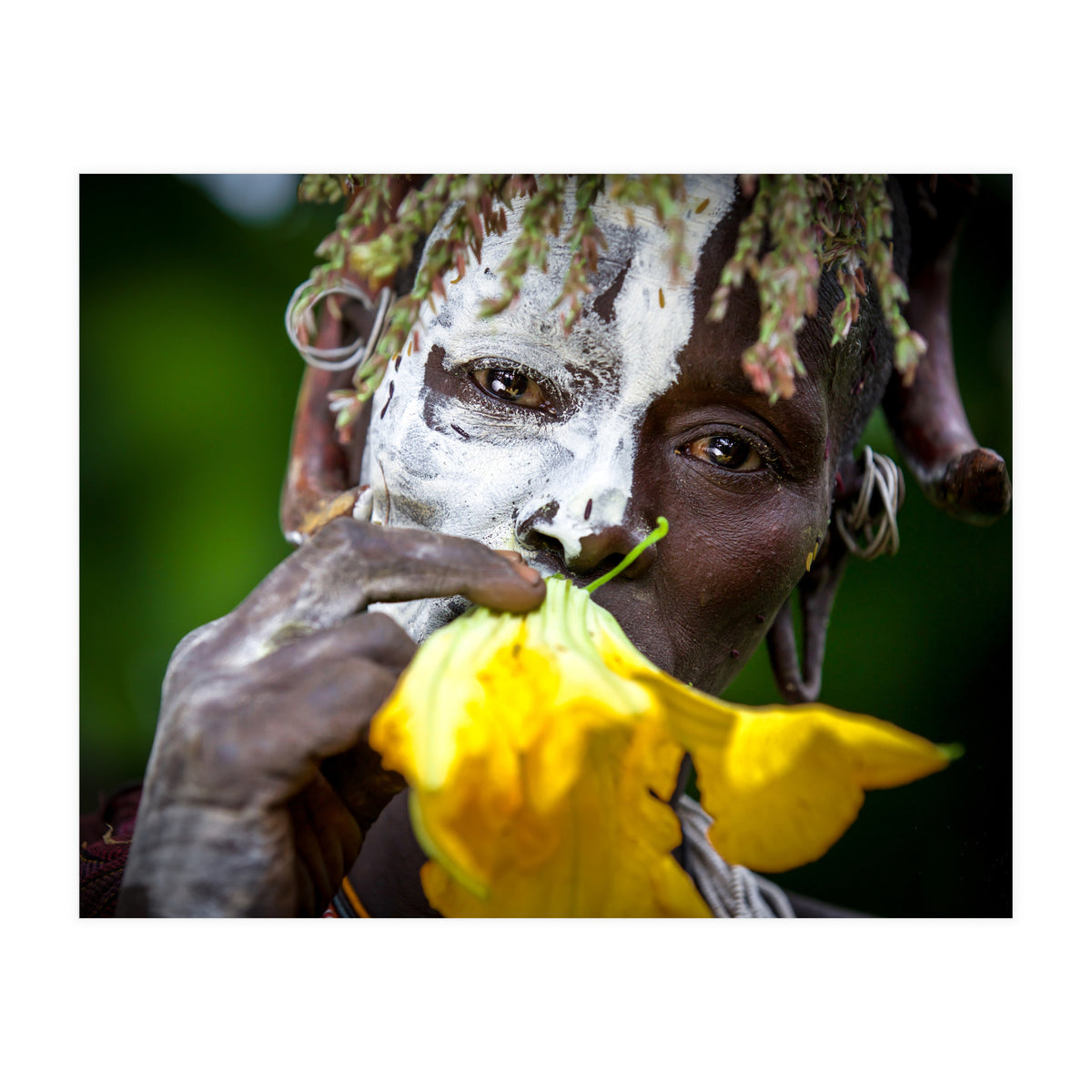 Sure flower (Print Only)