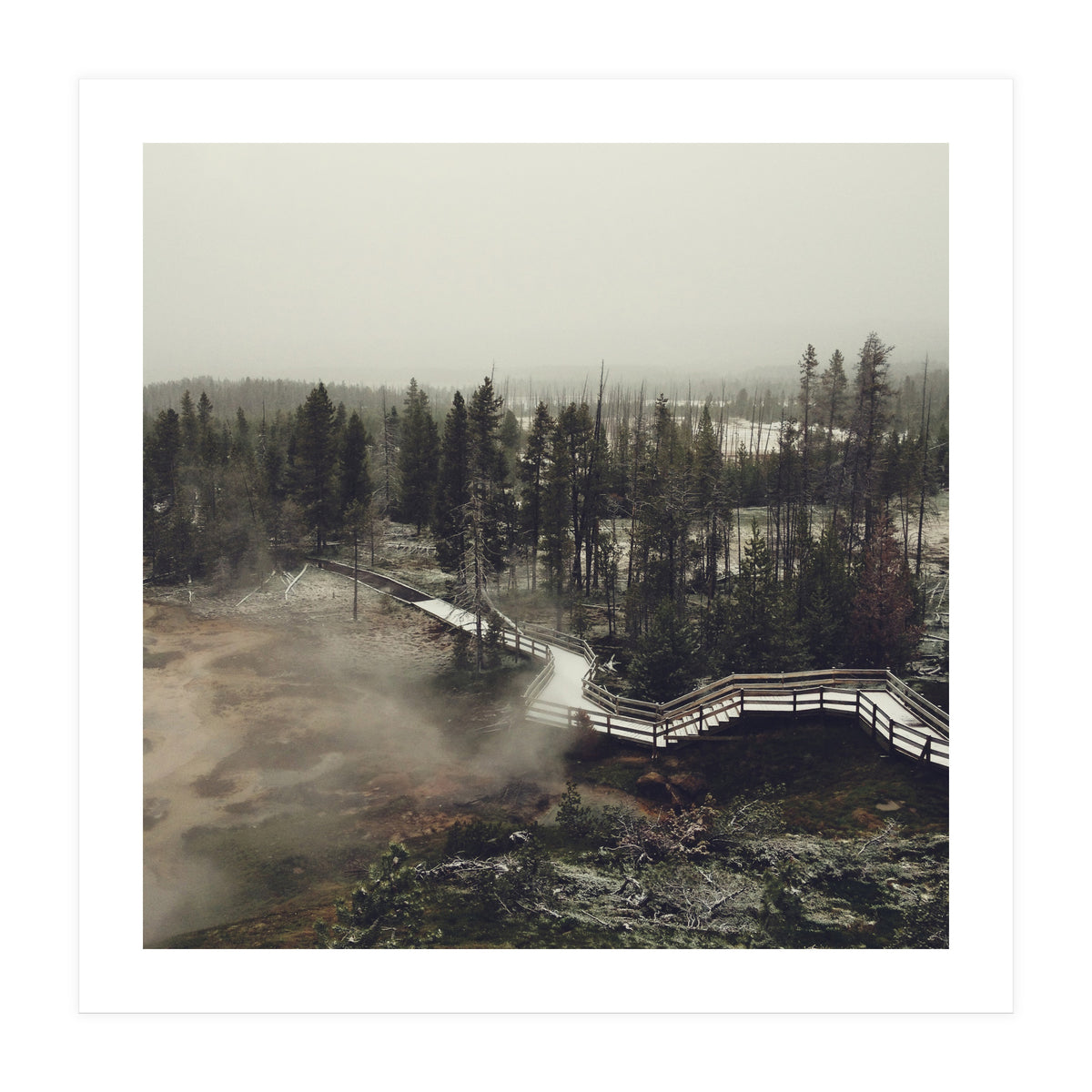 Artists Paint Pots (Print Only)