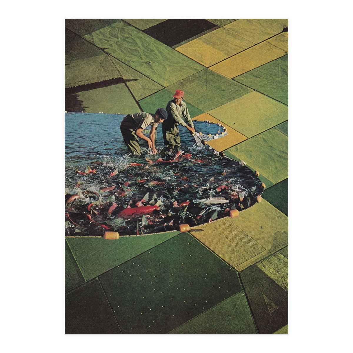 Salmon Farm (Print Only)