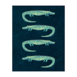Alligators in the Dark (Print Only) thumbnail