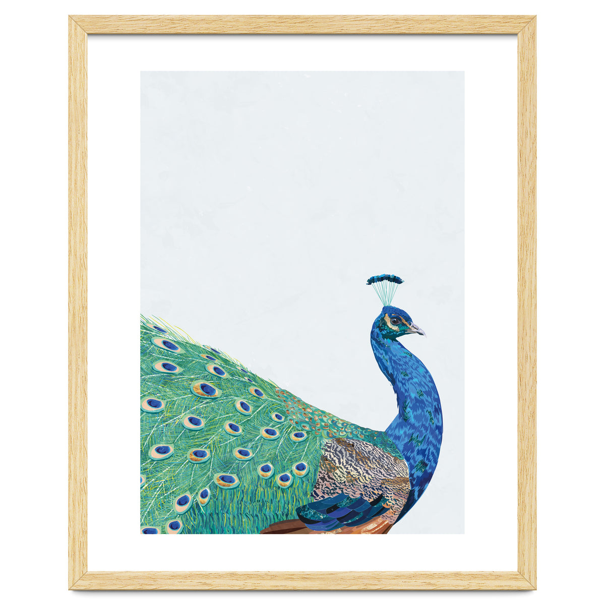 Peacock Portrait