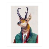 Pronghorn Deer (Print Only) thumbnail