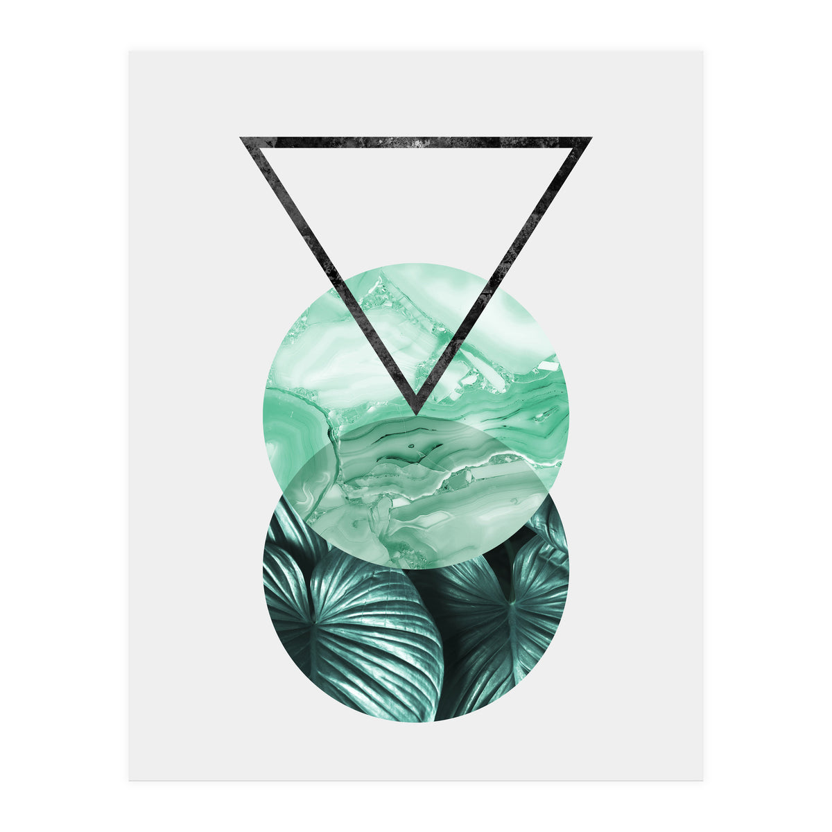 Botanical and geometric II (Print Only)