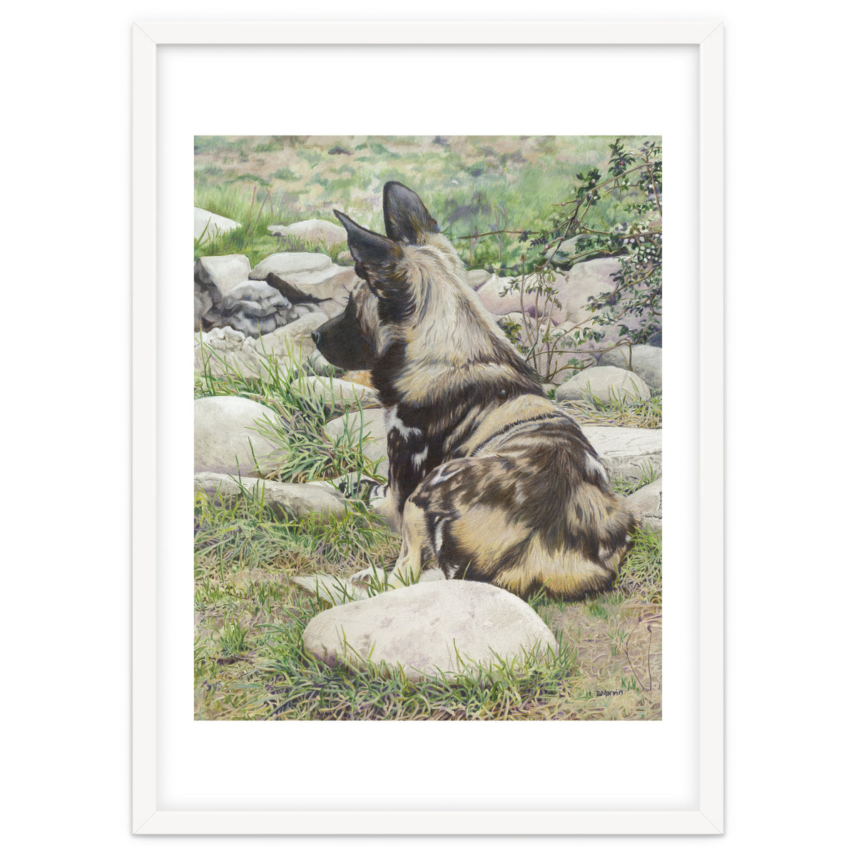 African Painted Dog I