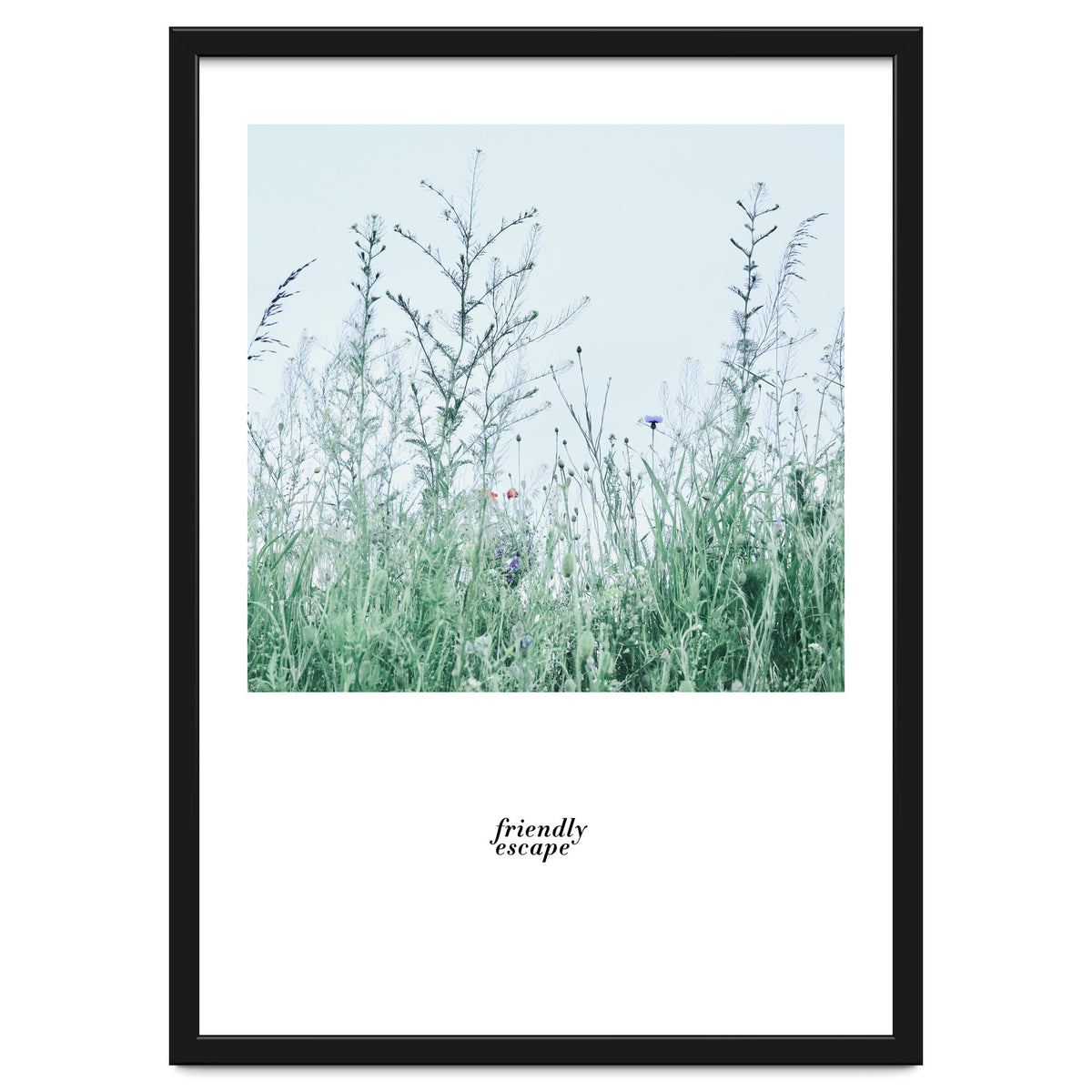 Friendly escape - Nature Photography -