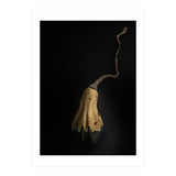 Gourds No 12 Color Version (Print Only) thumbnail