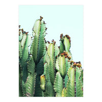 Cactus Love (Print Only)