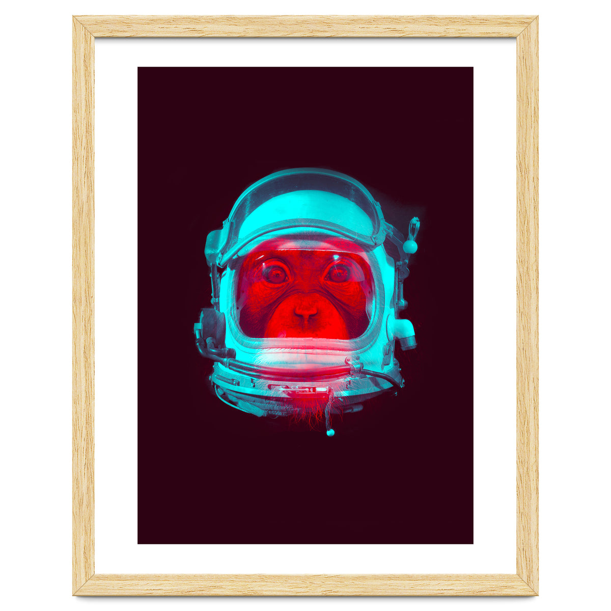 Astronaut