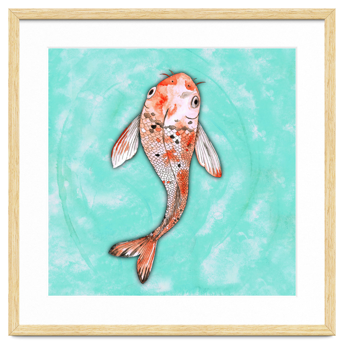 Koi fish