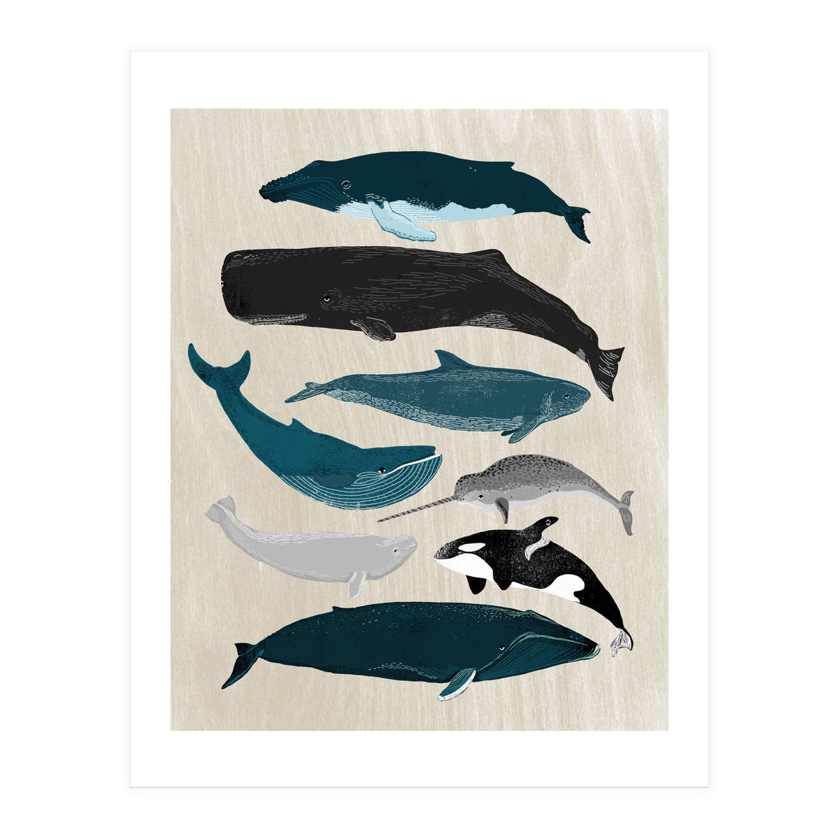 Whales (Print Only)
