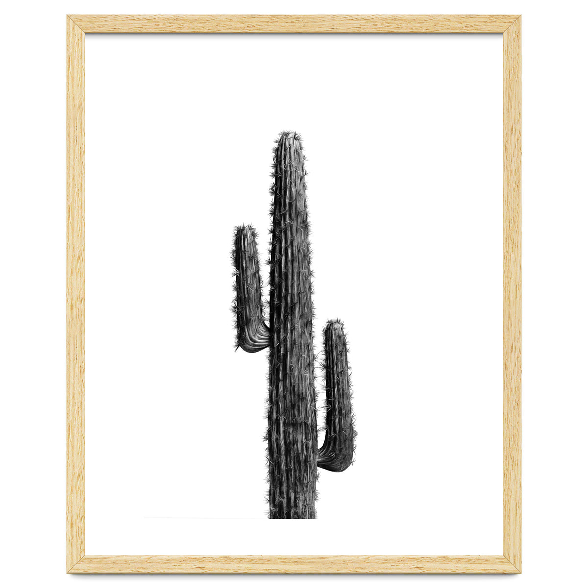 Cactus Black and White 01