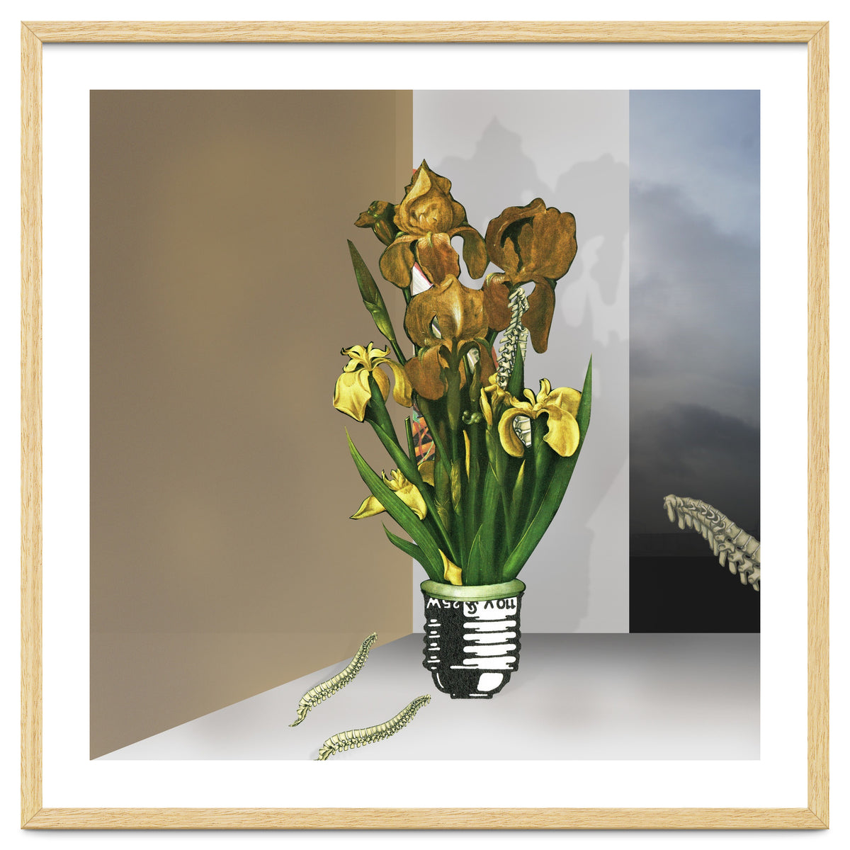 Das Licht Der Pflanze