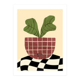 Begonia (Print Only) thumbnail