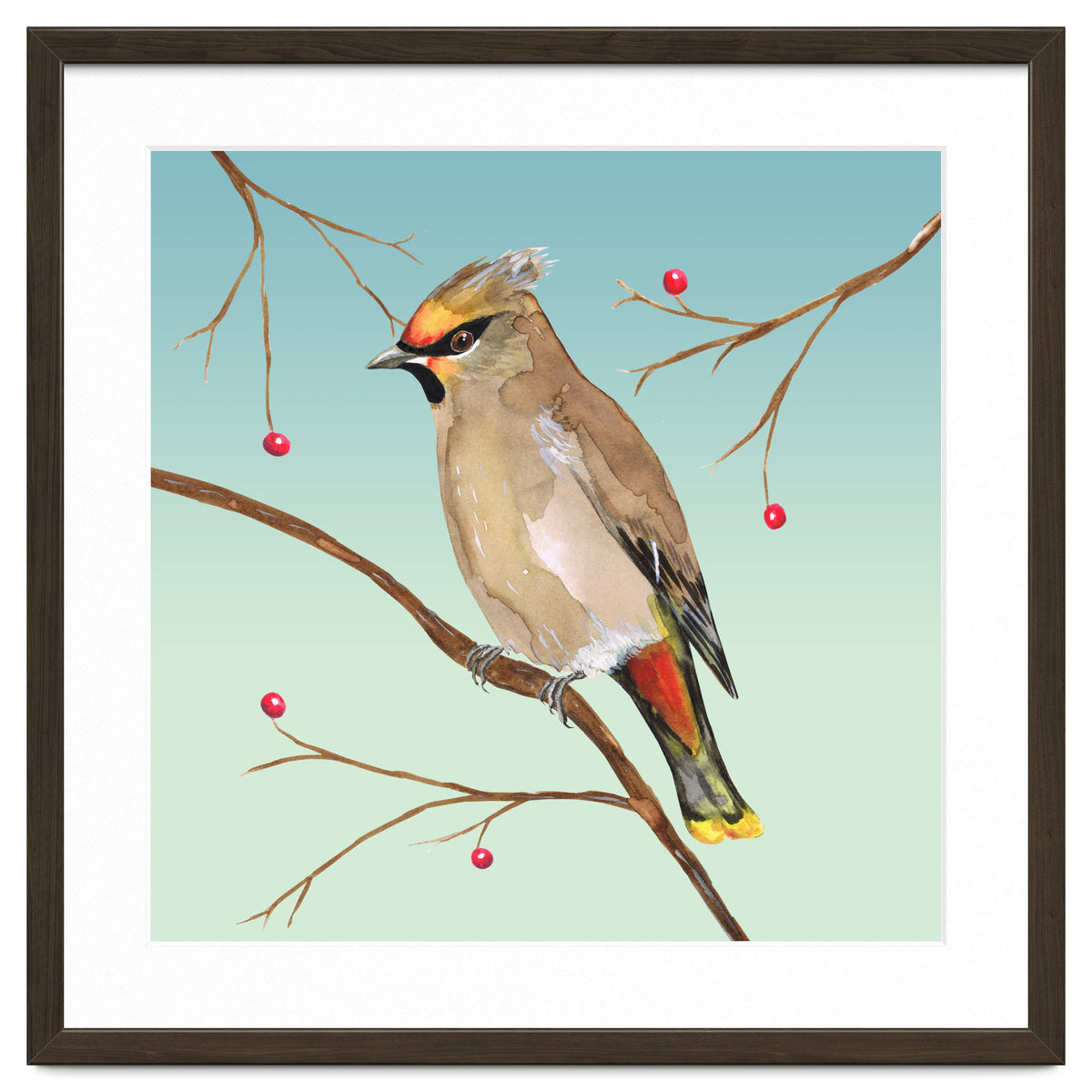 Bohemian waxwing