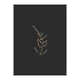 Delicate Golden Fynbos Botanicals on Black (Print Only) thumbnail