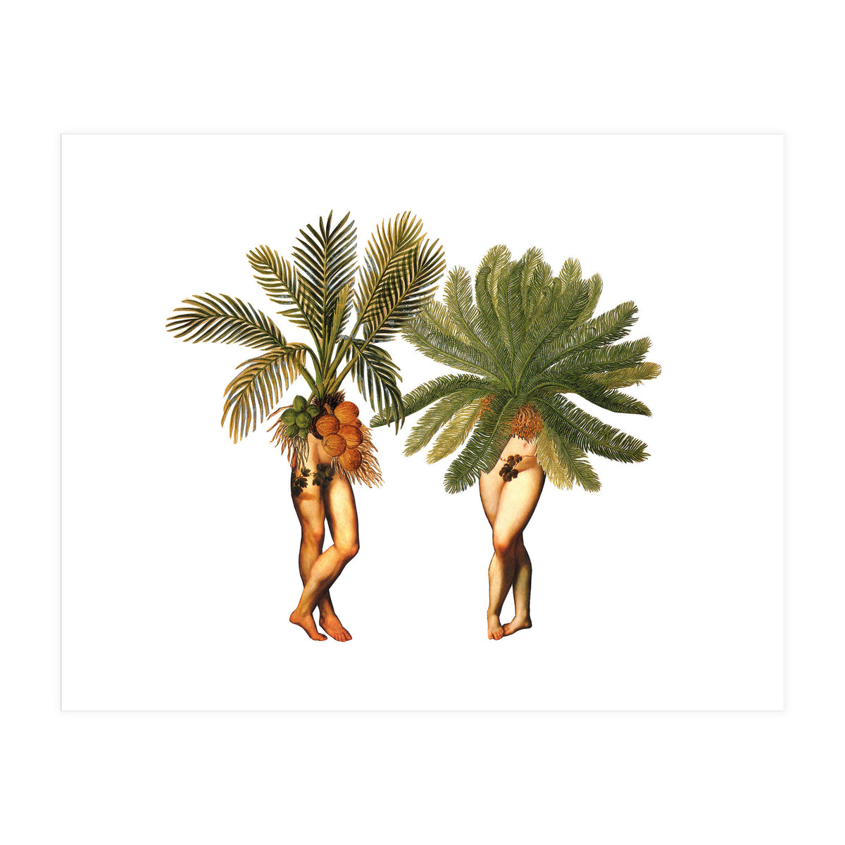 The Palms (Print Only)