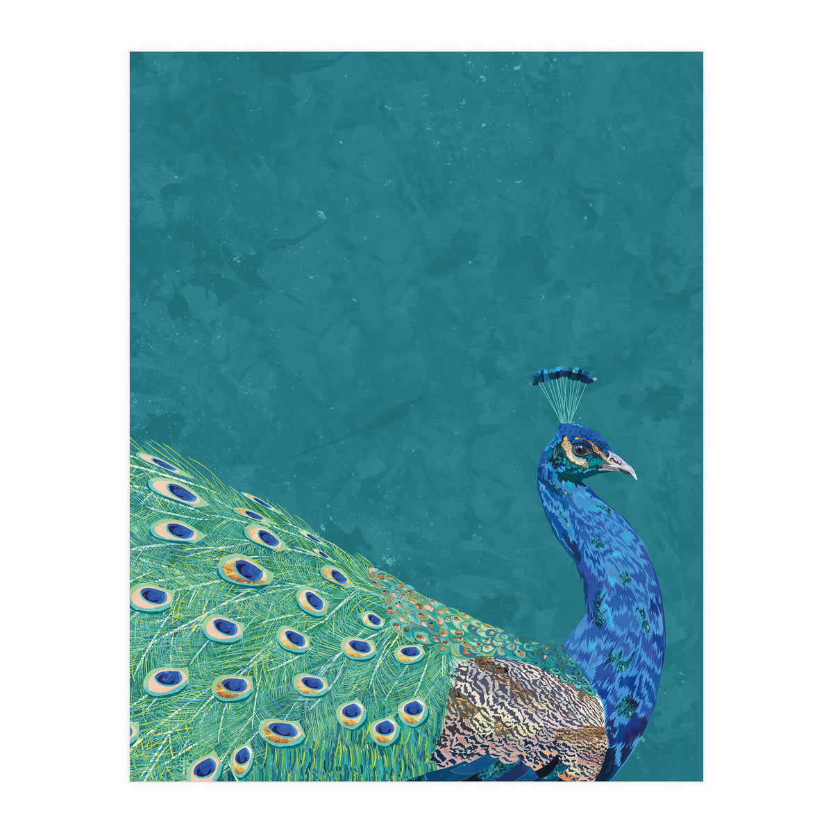 Perfect Peacock Turquoise Portrait (Print Only)