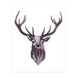 Mountain Love Stag (Print Only) thumbnail