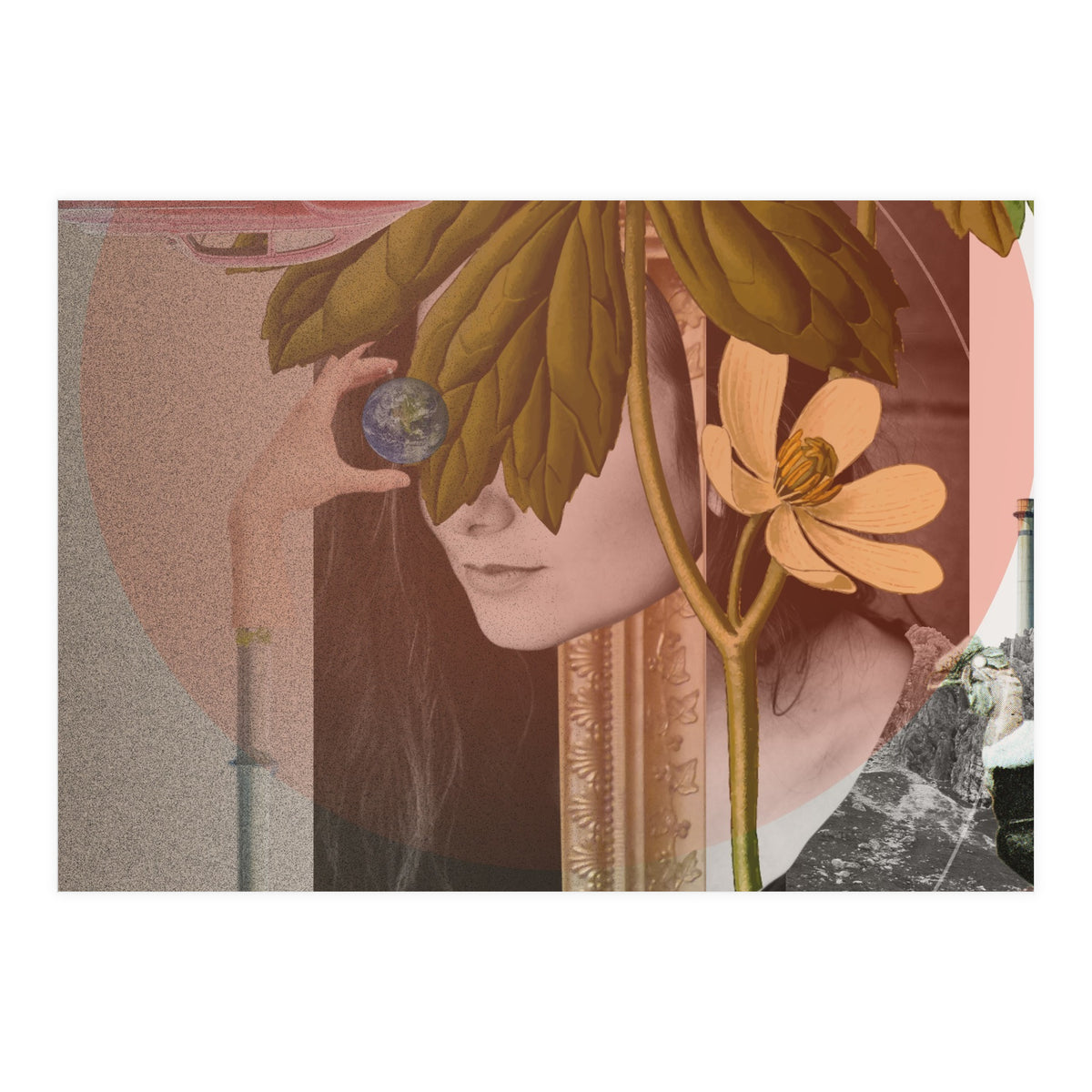 Dreamland Division · B (Print Only)