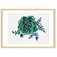 Rose Cactus