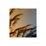Sunset in autumn (Print Only) thumbnail