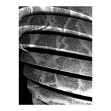 Parole I  (Print Only) thumbnail