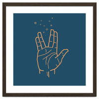 Vulcan Salute