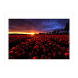 Red And Blue (Print Only) thumbnail