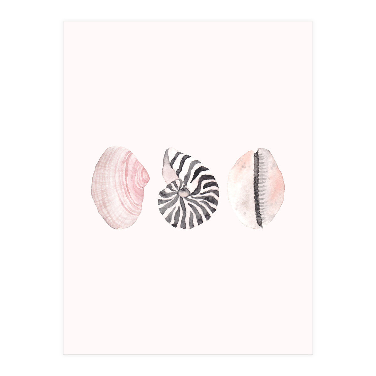 Seashells (Print Only)