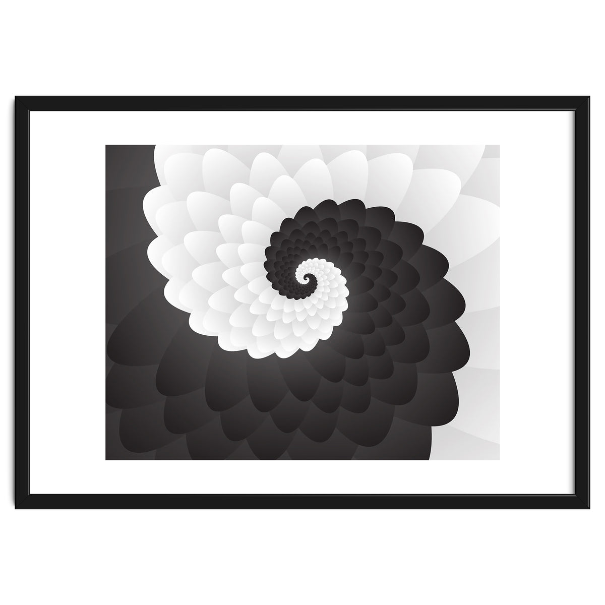 Mono Chrome Spiral Pattern