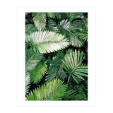 Life Is Better With Palm Trees (Print Only) thumbnail