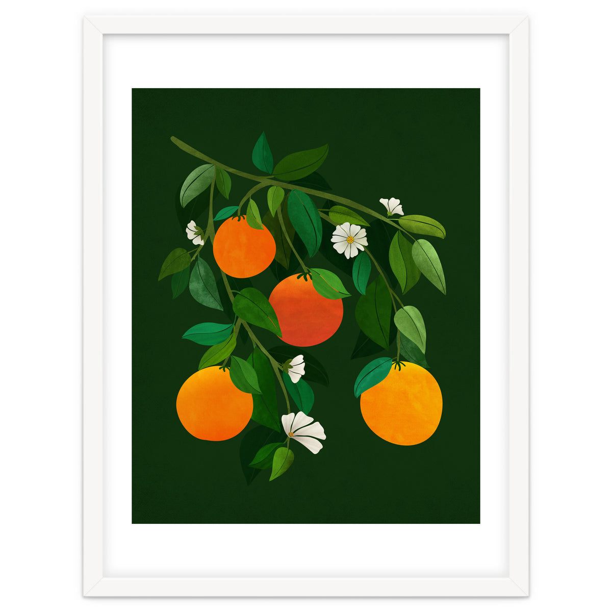 Oranges and Blossoms