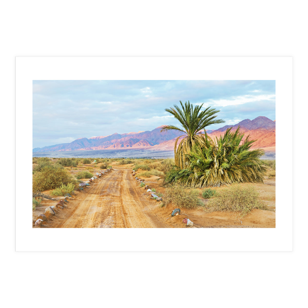 Joshua Tree (Print Only)