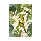 Green Jungle Parakeets (Print Only) thumbnail