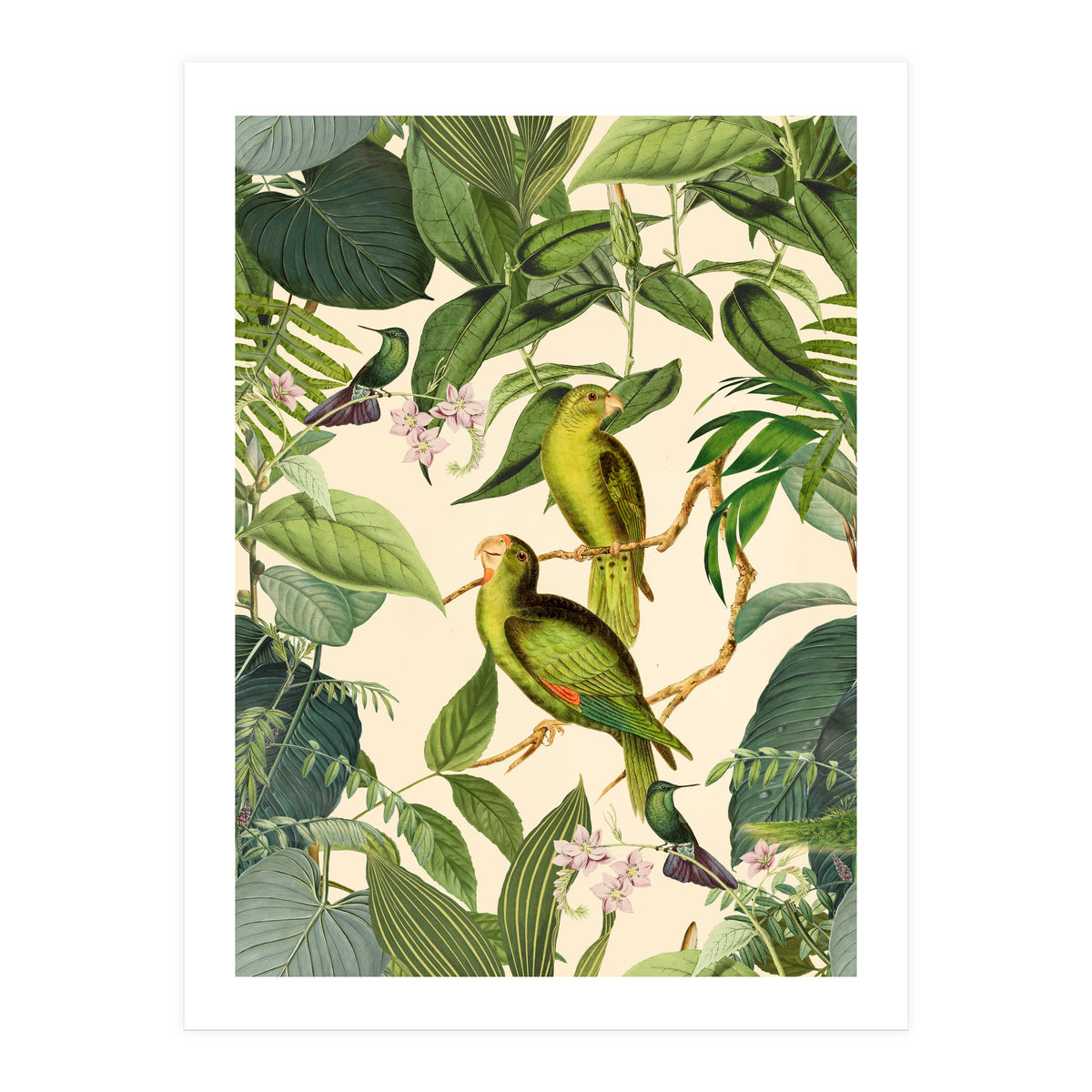 Green Jungle Parakeets (Print Only)