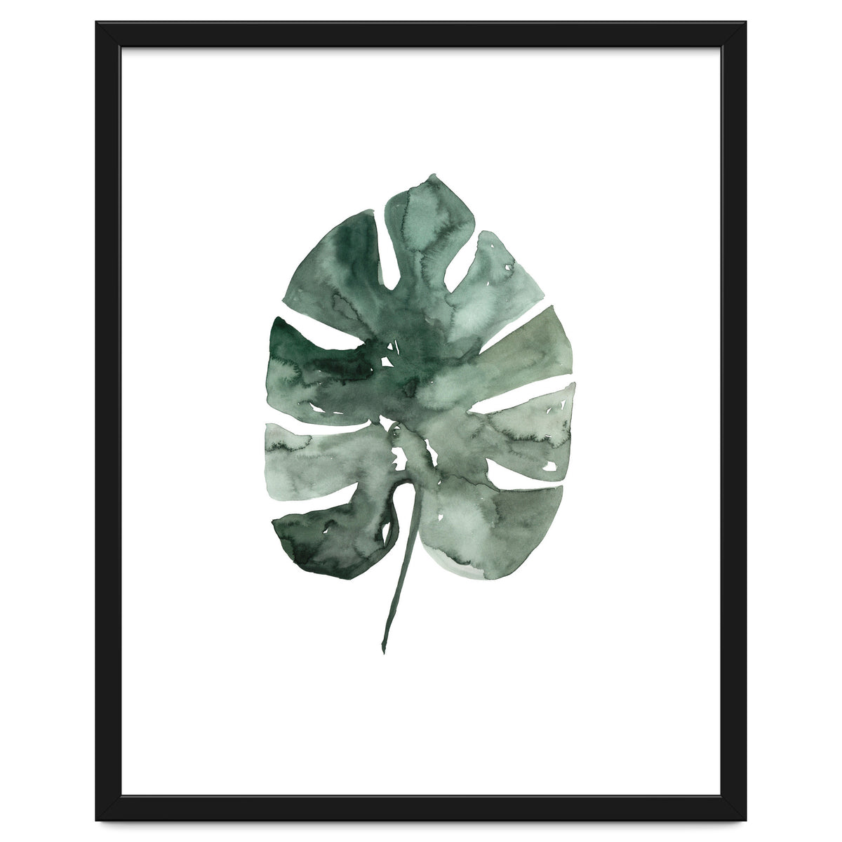 Botanical Illustration Monstera Leaf