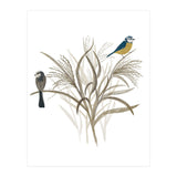 Garden Birds (Print Only) thumbnail